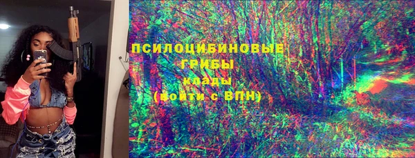 соль ск Елизово