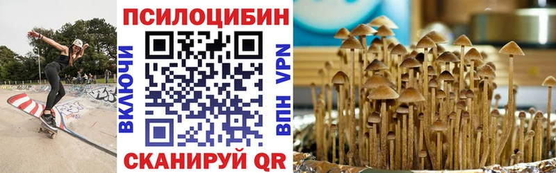 Псилоцибиновые грибы Psilocybine cubensis  Купить закладки  Краснослободск 
